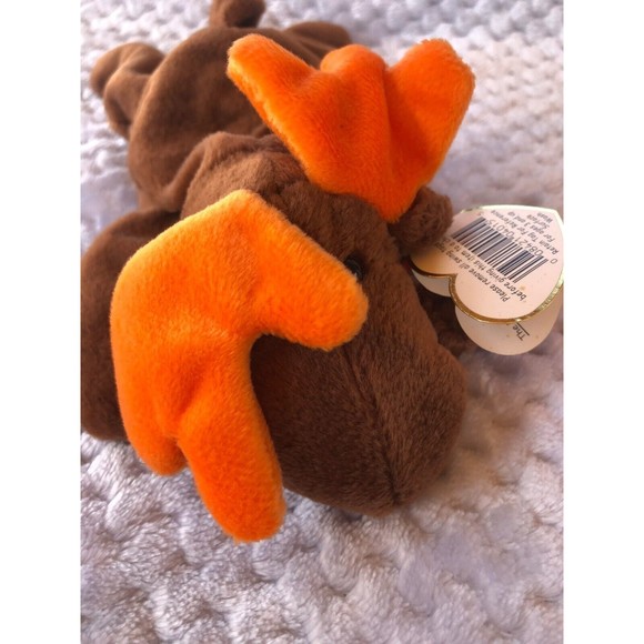 TY Beanie Baby Chocolate the Moose - Picture 9 of 10